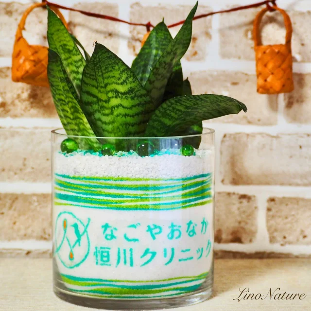【開院祝いオーダー🪴🎊】  贈るのが嬉しくなるギフトを制作する
LinoNature(リノなちゅーる)の
さゆみです😊  クリニックの会員祝にと
ご依頼いただきました✨  クリニックのロゴマークと
院名をサンドアート♡  色は、最近『お取り扱い砂』に仲間入りした
ミントカラーで♪  ミントって名前の色なのですが
ティファニーブルーによく似ていて  ティファニー好きな私からすると
とても心ときめく色です（笑）  これまでほとんどこの色を使った
ロゴデザインがなかったので仕入れることもなかったのですが  最近少しずつ増えてきたし、
綺麗な色には違いないので、レギュラー化させることに
決めました(＊ˊ艸ˋ)  グリーン系に、爽やかなミントカラーも入った
グラスサンドアートとなりました🥰🌱✨  器のサイズは
直径15cm 高さ15cm  植えている植物は
『サンスベリア(サンセベリア)』です😊  緩やかに成長していき
お水も少しくらいやり忘れてもびくともしない
とっても育てやすい子💚  マイナスイオンも放出してくれる
可愛い子です(＊ˊ艸ˋ)  お客様が
砂の色からレイアウト、模様までカスタマイズされ  今回は植物も
「こんな感じの植物が良いです💡」と
ご要望をいただきました☺️  「喜んでいただきたい」という
お客様の気持ちがしっかりこもったグラスサンドアート✨  #なごやおなか恒川クリニック さんで、
患者さまたちを癒やしつつ、
すくすく育ってもらえればと思います😊  ご依頼いただき
ありがとうございました✨  #グラスサンドアート の
#オーダーメイド
#随時受付中  です- ̗̀( ˶’ᵕ’˶) ̖́-  ━━━━━━━━━━━━━━━━━
✦ オーダーメイドご注文方法
✦ブログ
✦YouTube
✦ネットショップ
✦無料グラスサンドアート入門講座
(手作りキットのプレゼントあり) 
↓詳細はプロフ欄のURLをタップ↓ 
@linonature_glass_sandart  ブログにはオーダー作品やお客様の声、
私のプライベートネタやグラスサンドアート講座のことなどガッツリ書いてますᝰ🖋꙳⋆  ▼受講生作品や家族ネタ投稿はこっち◡̈❤︎
@linonature_sayumi  ※DMは確認していませんので、メッセージを送って頂いてもご返信いたしかねます。  ━━━━━━━━━━━━━━━━━
𝕃𝕚𝕟𝕠ℕ𝕒𝕥𝕦𝕣𝕖(リノなちゅーる)の
グラスサンドアートに対する想いꕤ
━━━━━━━━━━━━━━━━━  私の仕事は『ハンドメイド』のアーティストです。
一定のスキルを超えたら、
相手のことを想って作るハンドメイド作品は、
どんなものにも敵わない、『最強の贈り物』になると思っています。  大切な人のことを想いながら作る(オーダーする)。大切な人が自分のことを想って作ってくれたものを貰う。  ”これほど嬉しくて、気持ちのこもったものは無い。”  そんな信条を持って、
私はグラスサンドアートの仕事をしています。  LinoNature認定制作スタッフも
この想いを引き継いで共に制作してくれています。  ※認定制作スタッフが制作する場合
お客様のやり取り含め、作品の監修は私(佐野さゆみ)が責任を持って行います。  #サンドアート
#カラーサンド
#開院祝い
#インテリアグリーン
#名入れ
#ロゴ入れ
#全国発送
#linonature